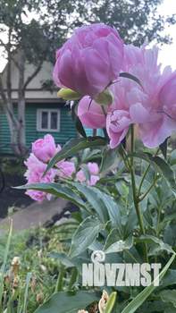 Дом 55м², 2-этажный, участок 4 сот.