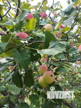 Дом 115м², 2-этажный, участок 8 сот.