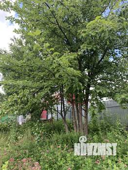 Дом 32м², 1-этажный, участок 5 сот.