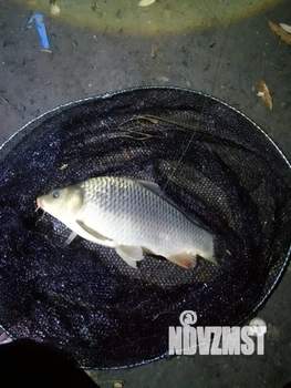 Дом 40м², 2-этажный, участок 40 сот.