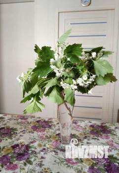 Дом 75м², 1-этажный, участок 4 сот.