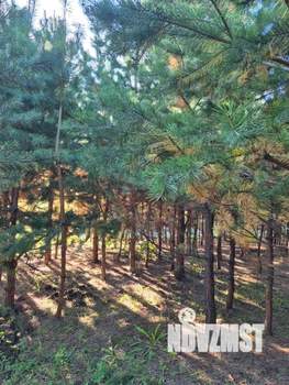 Дом 80м², 2-этажный, посуточно, 