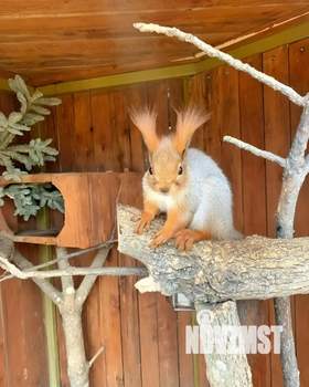 Дом 210м², 2-этажный, посуточно, 