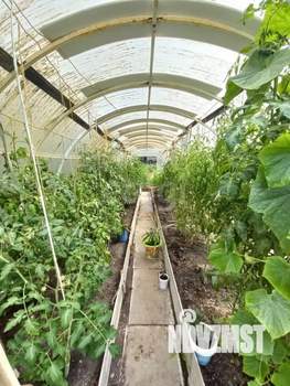 Дом 50м², 2-этажный, участок 8 сот.  