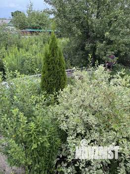 Дом 54м&sup2;, 2-этажный, участок 8 сот.  