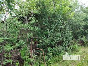 Дом 45м&sup2;, 1-этажный, участок 5 сот.  