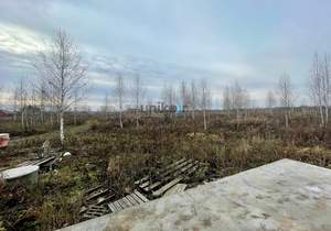 Дом 114м², 1-этажный, участок 7 сот.  