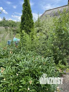 Дом 54м&sup2;, 2-этажный, участок 8 сот.  