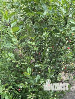 Дом 54м&sup2;, 2-этажный, участок 8 сот.  