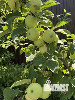 Дом 54м&sup2;, 2-этажный, участок 8 сот.  