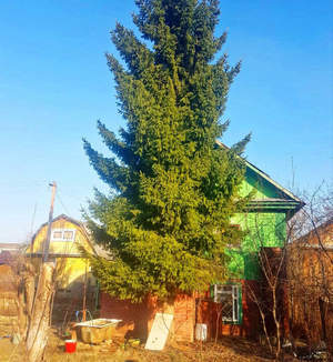 Дача 60м², 2-этажный, участок 8 сот.  