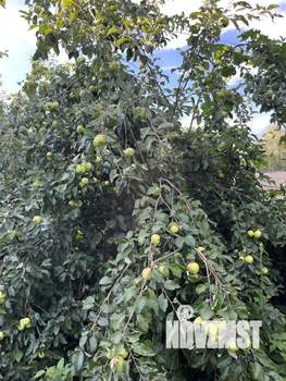 Дом 30м², 2-этажный, участок 3 сот.  