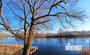 Дом 50м², 1-этажный, участок 30 сот.  