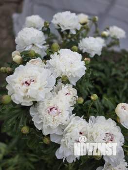 Дом 40м², 2-этажный, участок 4 сот.  