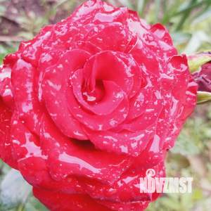 Дом 140м², 2-этажный, участок 4 сот.  