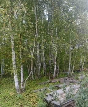 Дом 135м², 2-этажный, участок 15 сот.  