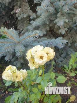 Дом 350м², 2-этажный, участок 12 сот.  