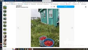 Дом 20м², 1-этажный, участок 4 сот.  
