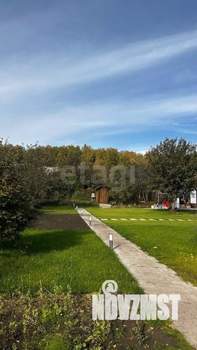 Дом 50м&sup2;, 1-этажный, участок 16 сот.  