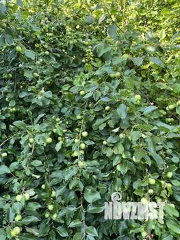 Дом 30м², 2-этажный, участок 3 сот.  