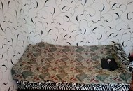 Фото комнаты в аренду (6)
