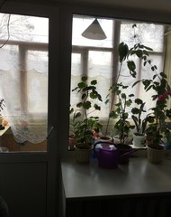 Фото комнаты на продажу (3)