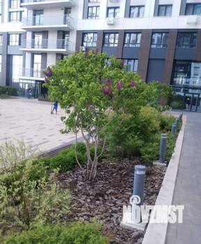 2-к квартира, посуточно, 50м2, 25/25 этаж