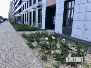 1-к квартира, на длительный срок, 30м2, 7/8 этаж