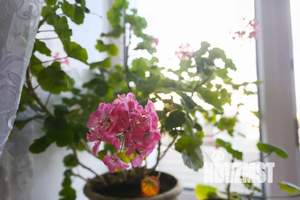 2-к квартира, посуточно, 57м2, 3/6 этаж