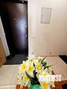 1-к квартира, посуточно, 43м2, 25/25 этаж