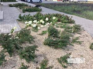 1-к квартира, на длительный срок, 30м2, 7/8 этаж