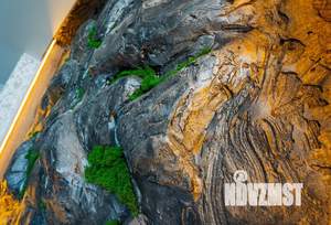 Студия квартира, посуточно, 22м2, 5/10 этаж