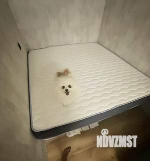 1-к квартира, на длительный срок, 31м2, 5/5 этаж