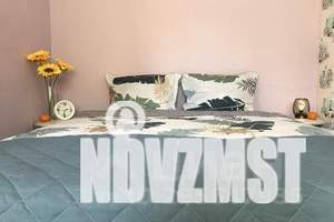 2-к квартира, посуточно, 45м2, 2/5 этаж