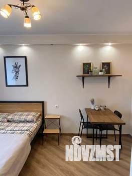 Студия квартира, посуточно, 23м2, 8/10 этаж