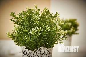 1-к квартира, посуточно, 38м2, 13/13 этаж