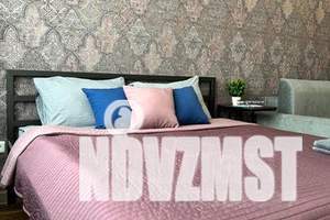 1-к квартира, посуточно, 24м2, 6/11 этаж