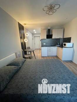 Студия квартира, посуточно, 24м2, 17/25 этаж