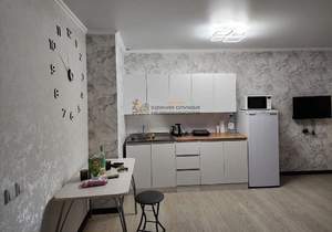 1-к квартира, на длительный срок, 30м2, 2/17 этаж