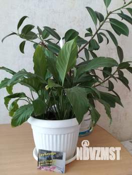 1-к квартира, посуточно, 33м2, 3/5 этаж