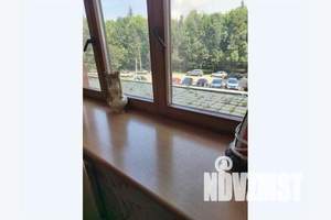 2-к квартира, посуточно, 50м2, 2/5 этаж