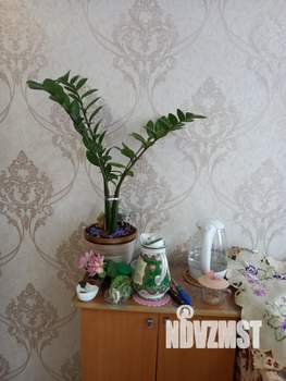 Студия квартира, вторичка, 25м2, 7/9 этаж
