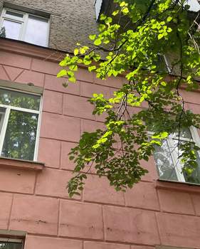 Студия квартира, вторичка, 18м2, 3/5 этаж