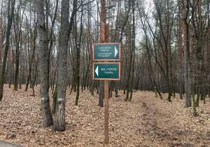 3-к квартира, вторичка, 71м2, 7/10 этаж