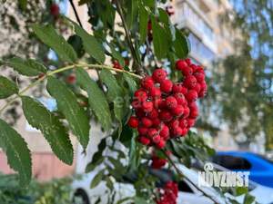 3-к квартира, вторичка, 63м2, 3/9 этаж