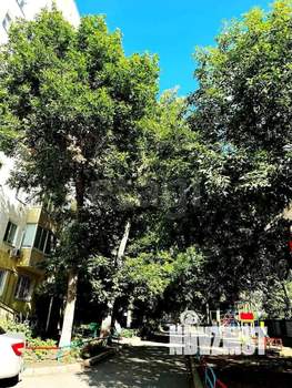 2-к квартира, вторичка, 44м2, 4/9 этаж