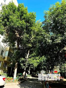 2-к квартира, вторичка, 44м2, 4/9 этаж