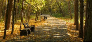 1-к квартира, вторичка, 33м2, 1/7 этаж